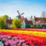 keukenhof