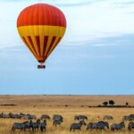 Hot air balloon ride floating over the wildlife and landscapes at sunrise offers an unforgettable experience.