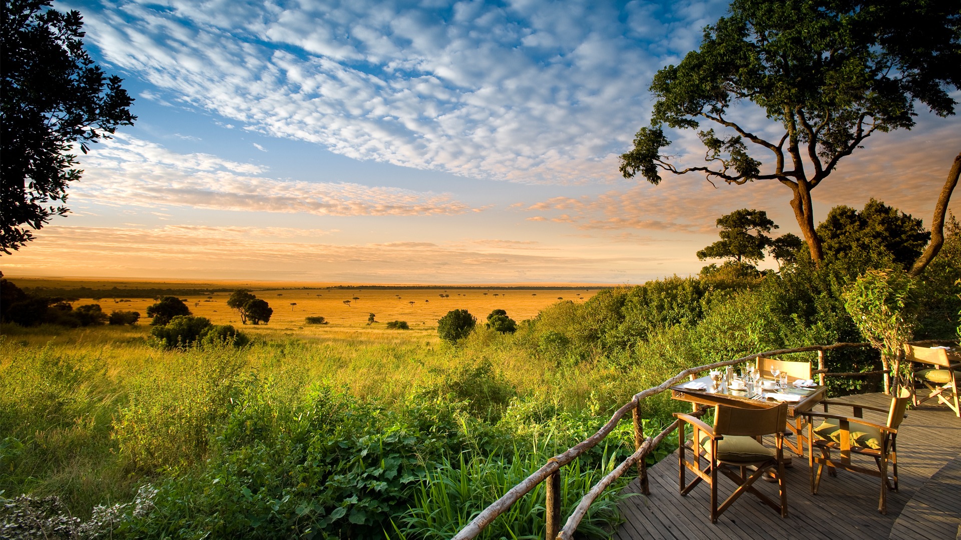 Luxury Safari Kenya - Great Migration meets Coffee Origin