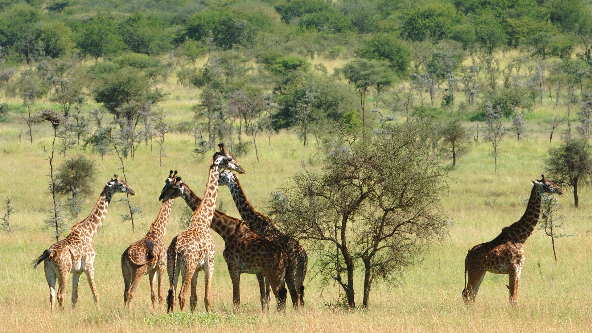 Chyulu Hills Photography