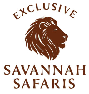 Explore Kenya on a Private or Small Group Safari | Exclusive Safaris. Intimate Groups. Unforgettable Kenya.