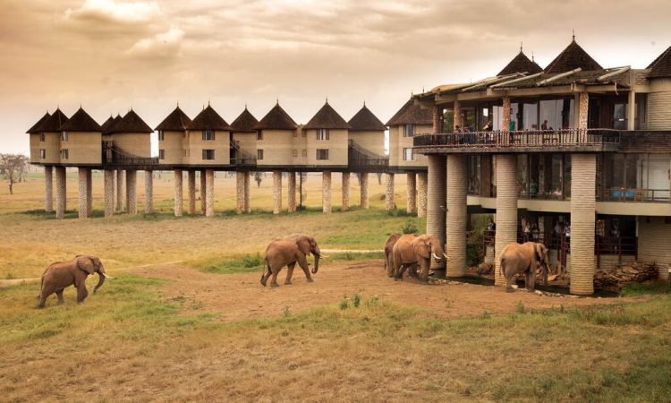 Tsavo West Photography