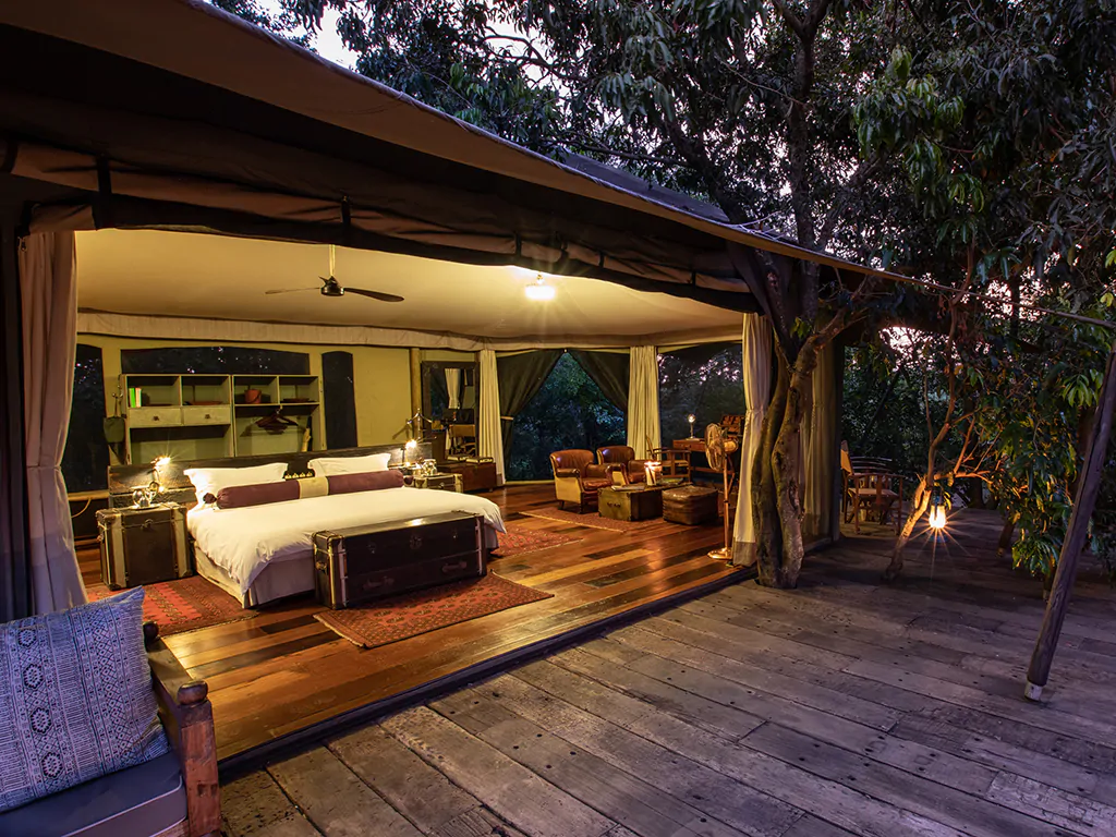 Luxury Safari Kenya - Great Migration meets Coffee Origin