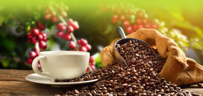 Kenya beans with cup Kenya beans with cup